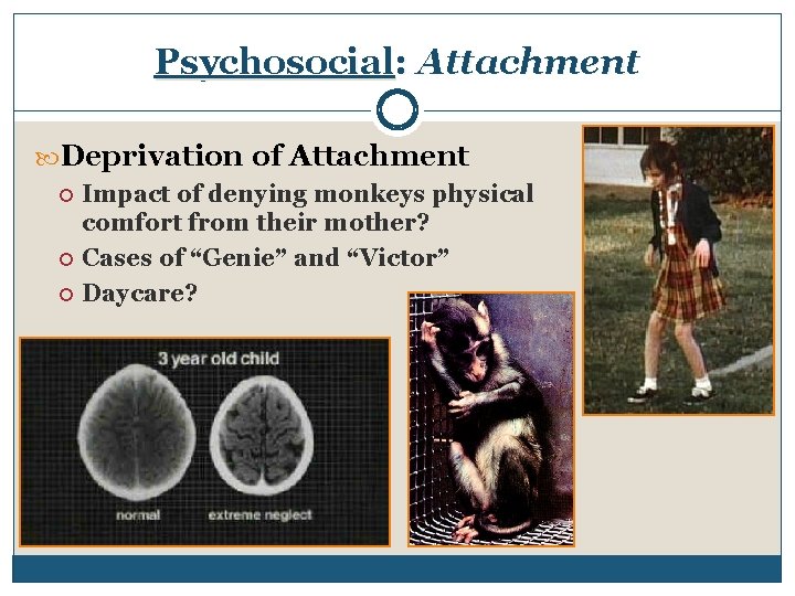 Psychosocial: Attachment Deprivation of Attachment Impact of denying monkeys physical comfort from their mother?