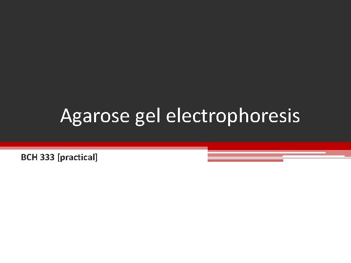 Agarose gel electrophoresis BCH 333 [practical] 