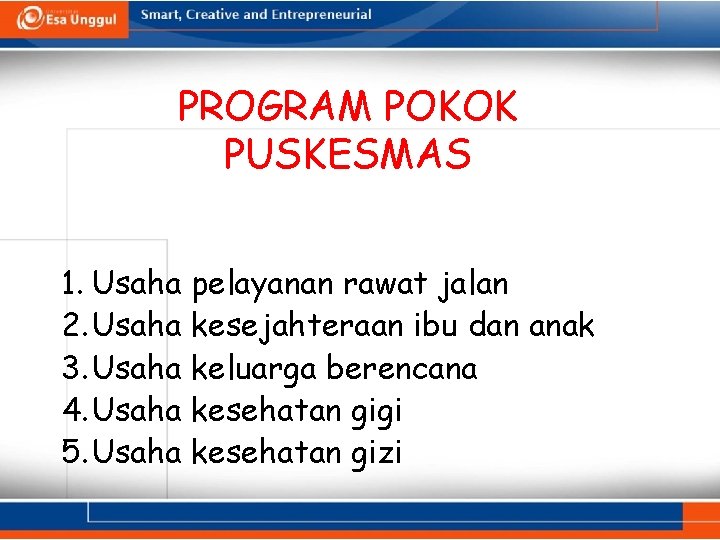 PROGRAM POKOK PUSKESMAS 1. Usaha pelayanan rawat jalan 2. Usaha kesejahteraan ibu dan anak