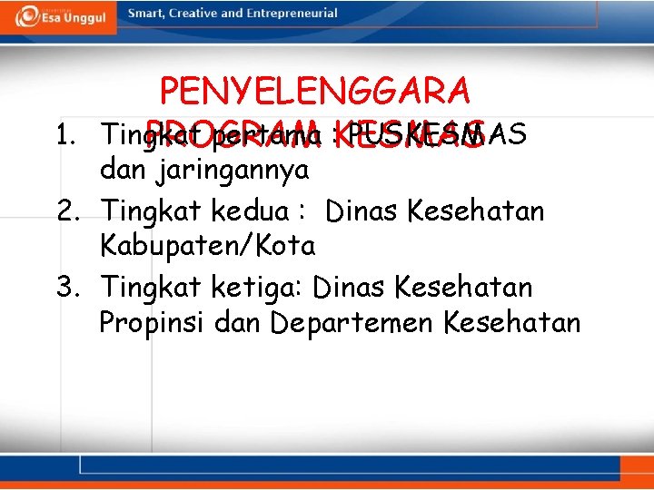 PENYELENGGARA 1. Tingkat pertama : KESMAS PUSKESMAS PROGRAM dan jaringannya 2. Tingkat kedua :