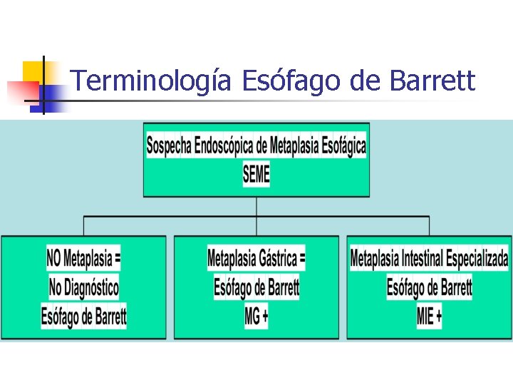 Terminología Esófago de Barrett 