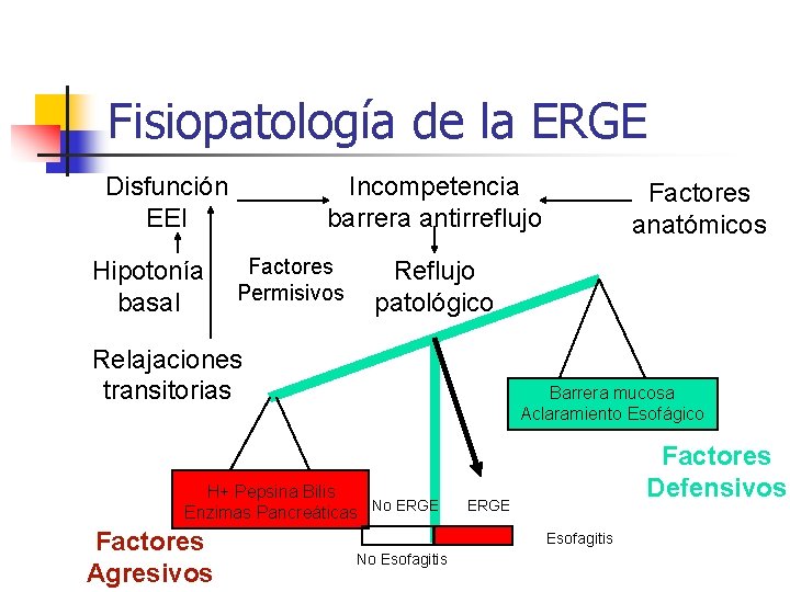 Fisiopatología de la ERGE Disfunción EEI Hipotonía basal Incompetencia barrera antirreflujo Factores Permisivos Reflujo