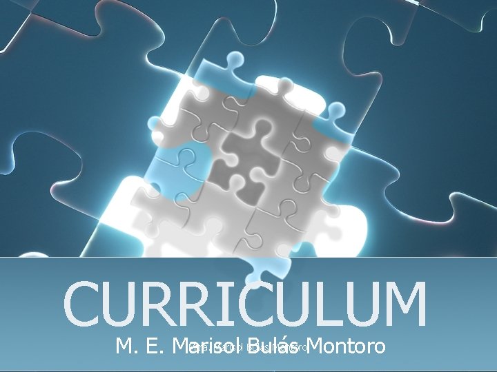 CURRICULUM Mtra. Marisol Bulás Montoro M. E. Marisol Bulás 