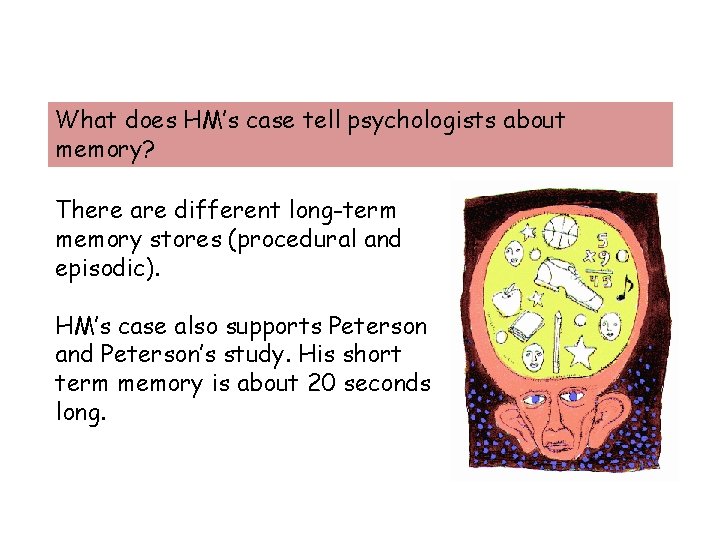 What does HM’s case tell psychologists about memory? There are different long-term memory stores