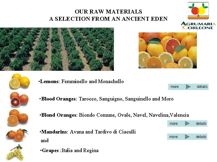 OUR RAW MATERIALS A SELECTION FROM AN ANCIENT EDEN • Lemons: Femminello and Monachello