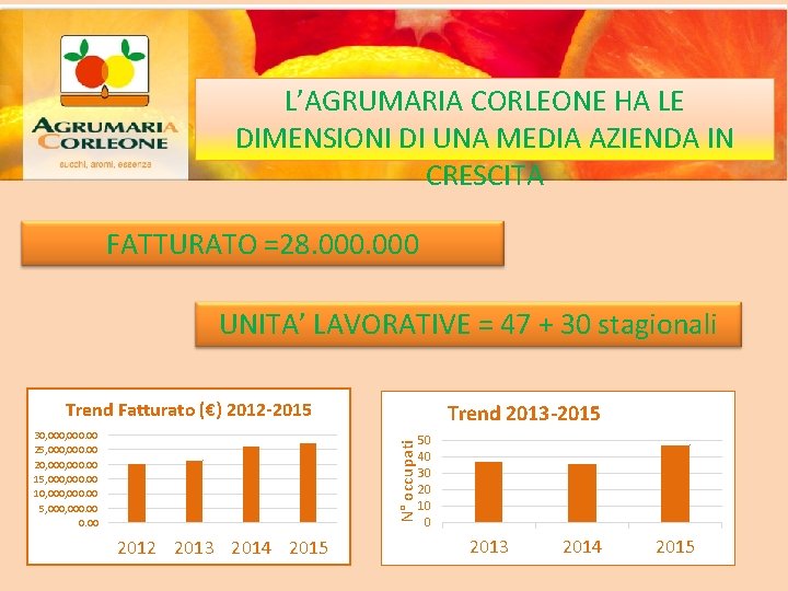 L’AGRUMARIA CORLEONE HA LE DIMENSIONI DI UNA MEDIA AZIENDA IN CRESCITA FATTURATO =28. 000
