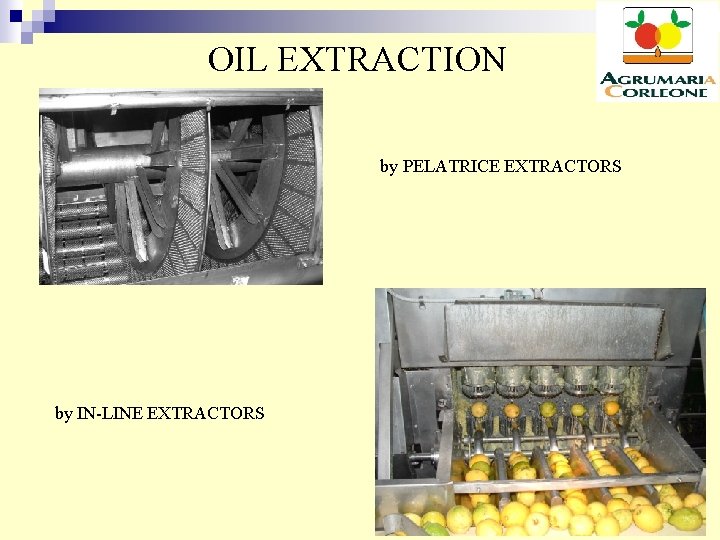 OIL EXTRACTION by PELATRICE EXTRACTORS by IN-LINE EXTRACTORS 