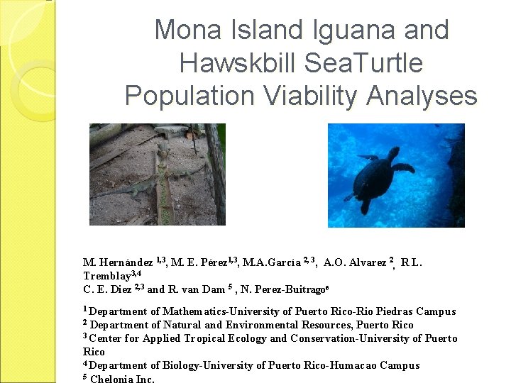 Mona Island Iguana and Hawskbill Sea. Turtle Population Viability Analyses M. Hernández 1, 3,