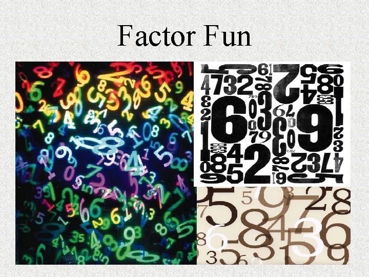 Factor Fun 