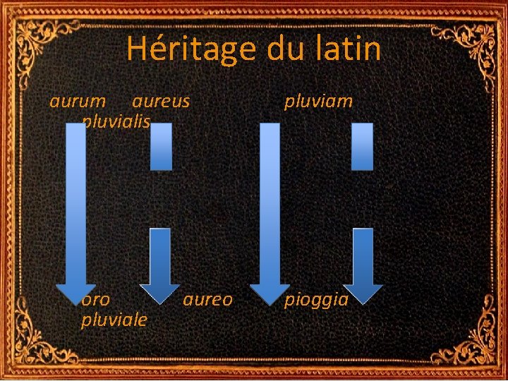 Héritage du latin aurum aureus pluvialis pluviam oro pluviale pioggia aureo Héritage du latin aurum aureus pluvialis pluviam oro pluviale pioggia aureo