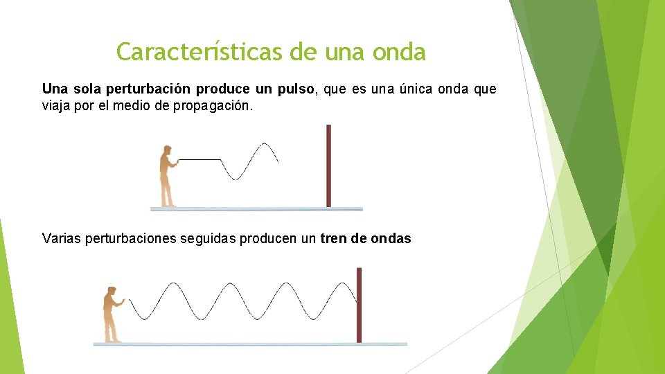 Características de una onda Una sola perturbación produce un pulso, que es una única Características de una onda Una sola perturbación produce un pulso, que es una única