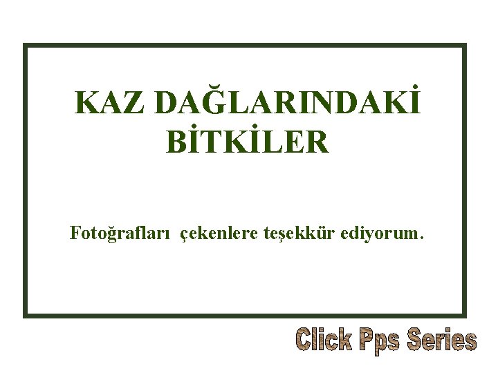 KAZ DAĞLARINDAKİ BİTKİLER Fotoğrafları çekenlere teşekkür ediyorum. 