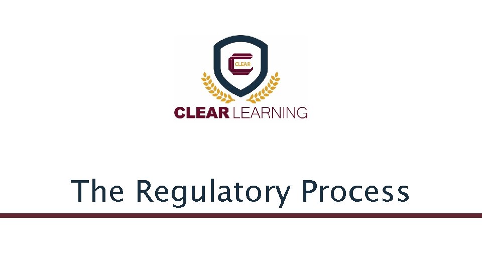 The Regulatory Process 