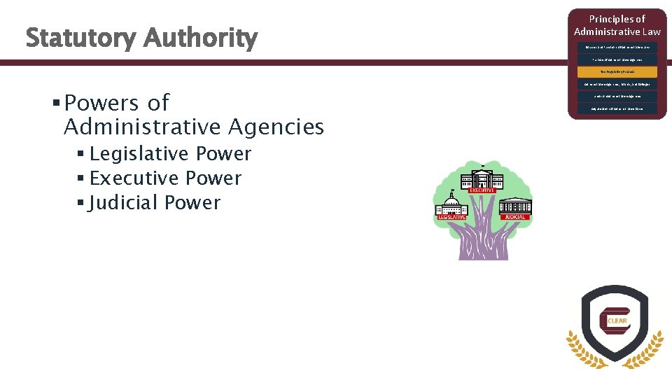 Statutory Authority Principles of Administrative Law Sources and Functions of Administrative Law Purpose of