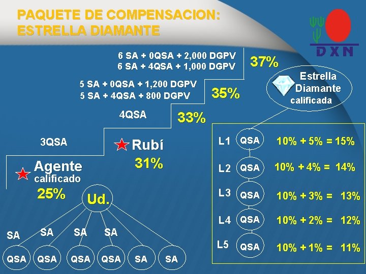 PAQUETE DE COMPENSACION: ESTRELLA DIAMANTE 6 SA + 0 QSA + 2, 000 DGPV