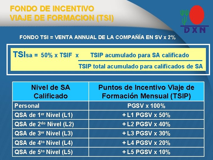 FONDO DE INCENTIVO VIAJE DE FORMACION (TSI) FONDO TSI = VENTA ANNUAL DE LA