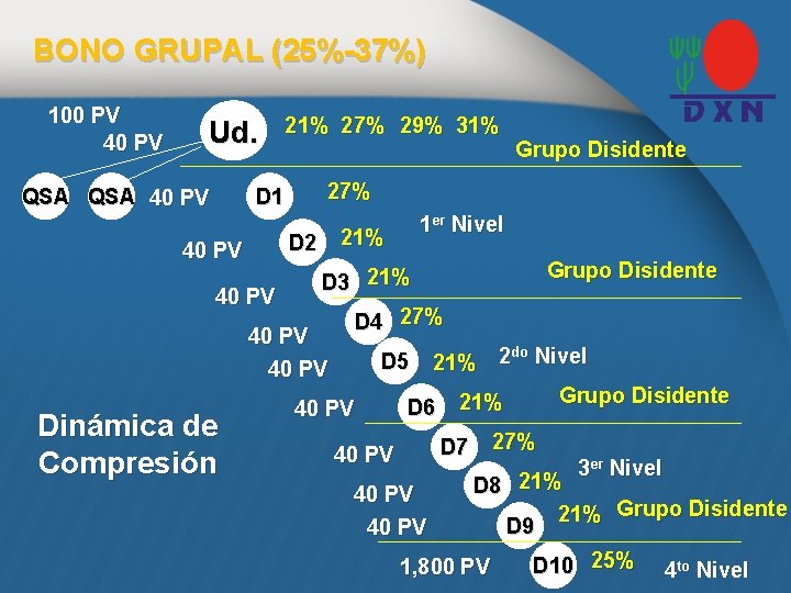 BONO GRUPAL (25%-37%) 100 PV 40 PV Ud. QSA 40 PV 21% 27% 29%