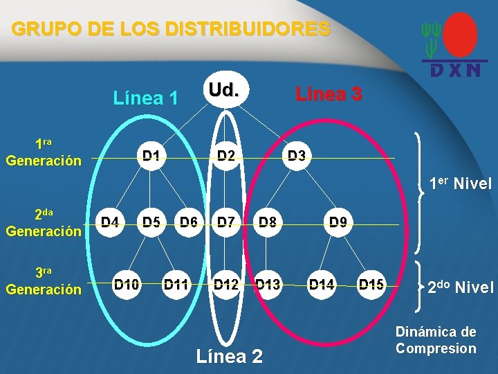 GRUPO DE LOS DISTRIBUIDORES Ud. Línea 1 1 ra Generación D 1 Línea 3