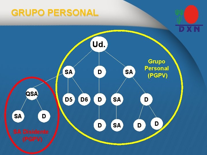 GRUPO PERSONAL Ud. SA QSA SA D 5 D D 6 Grupo Personal (PGPV)