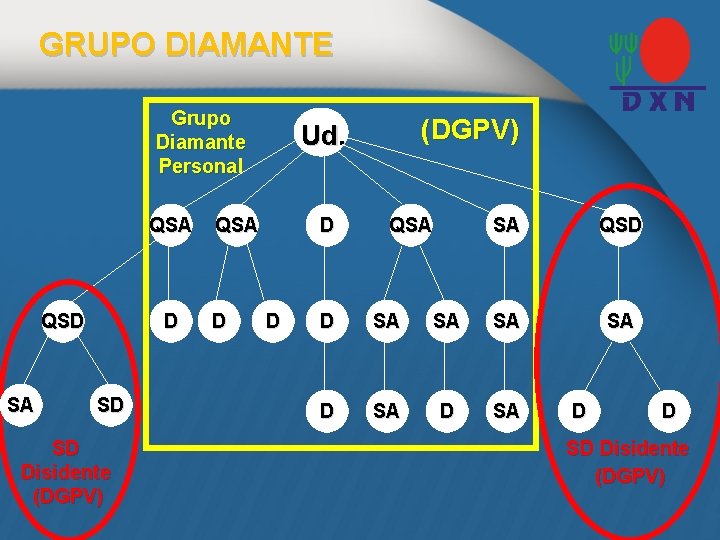 GRUPO DIAMANTE Grupo Diamante Personal QSA QSD SA D SD SD Disidente (DGPV) QSA