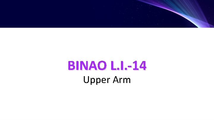 BINAO L. I. -14 Upper Arm 