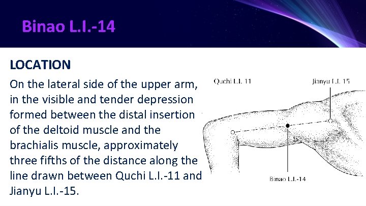 Binao L. I. -14 LOCATION On the lateral side of the upper arm, in