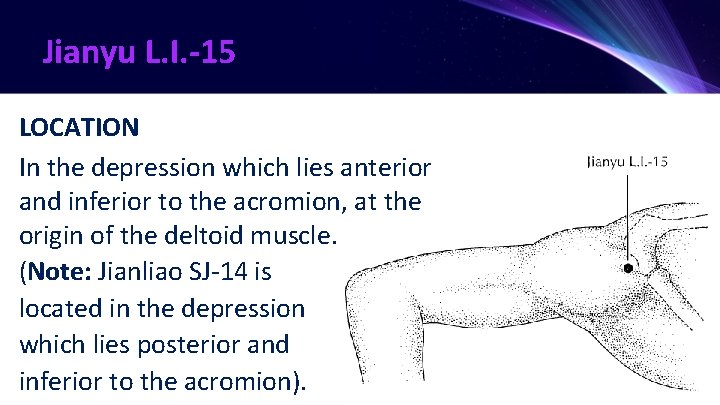 Jianyu L. I. -15 LOCATION In the depression which lies anterior and inferior to