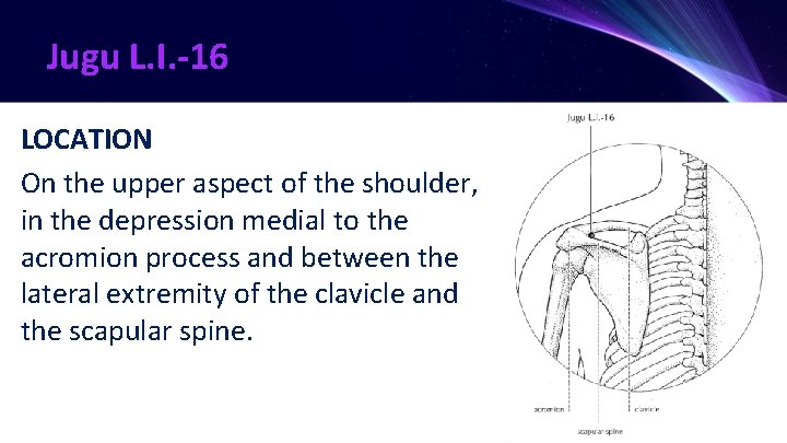Jugu L. I. -16 LOCATION On the upper aspect of the shoulder, in the