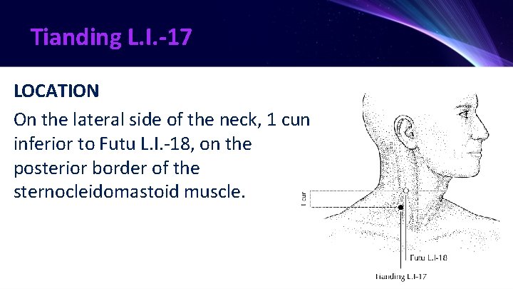 Tianding L. I. -17 LOCATION On the lateral side of the neck, 1 cun