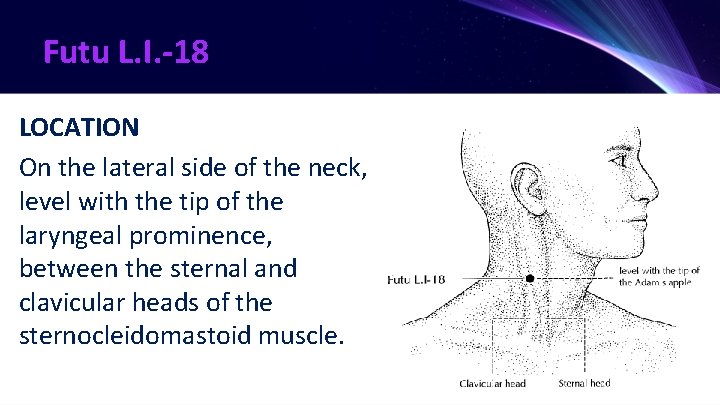 Futu L. I. -18 LOCATION On the lateral side of the neck, level with