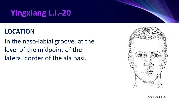 Yingxiang L. I. -20 LOCATION In the naso-labial groove, at the level of the