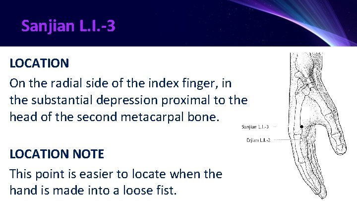 Sanjian L. I. -3 LOCATION On the radial side of the index finger, in