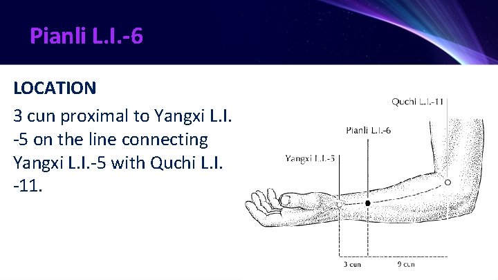 Pianli L. I. -6 LOCATION 3 cun proximal to Yangxi L. I. -5 on