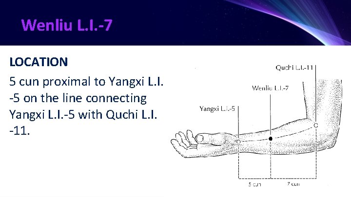 Wenliu L. I. -7 LOCATION 5 cun proximal to Yangxi L. I. -5 on