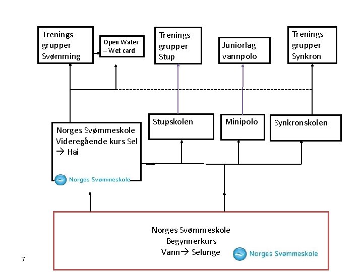 Trenings grupper Svømming Open Water – Wet card Norges Svømmeskole Videregående kurs Sel Hai