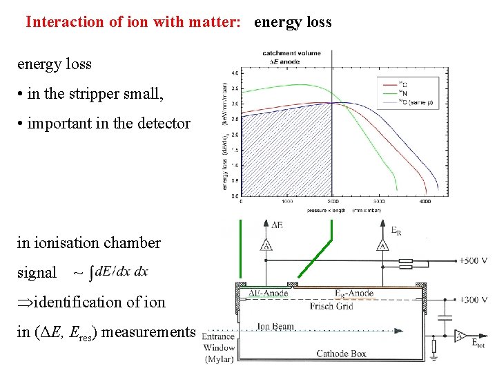 Interaction of ion with matter: energy loss • in the stripper small, • important