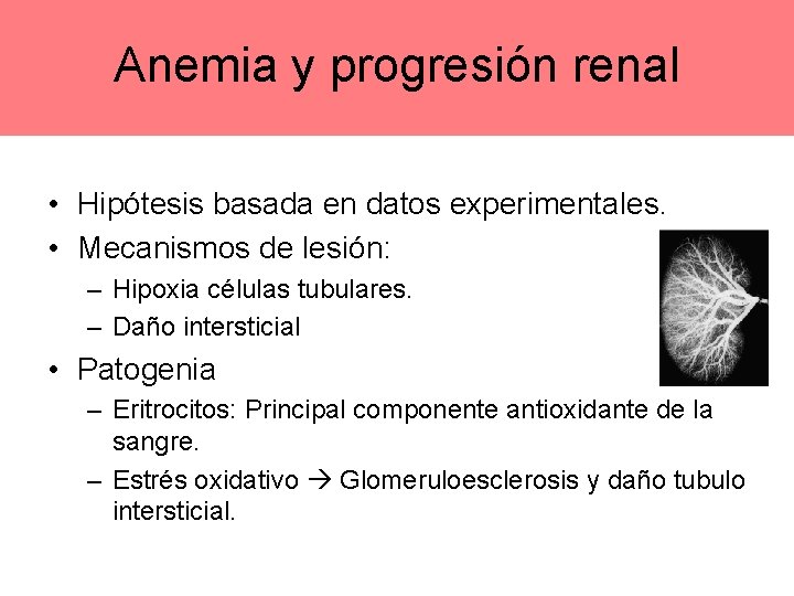 Anemia y progresión renal • Hipótesis basada en datos experimentales. • Mecanismos de lesión: