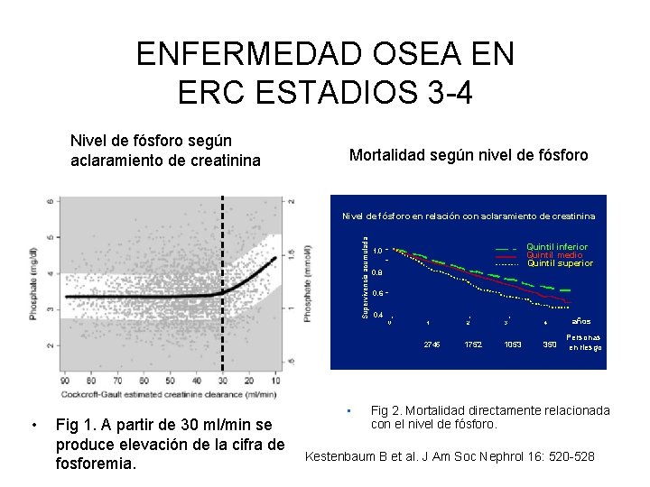 ENFERMEDAD OSEA EN ERC ESTADIOS 3 -4 Nivel de fósforo según aclaramiento de creatinina