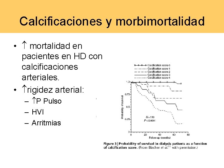 Calcificaciones y morbimortalidad • mortalidad en pacientes en HD con calcificaciones arteriales. • rigidez