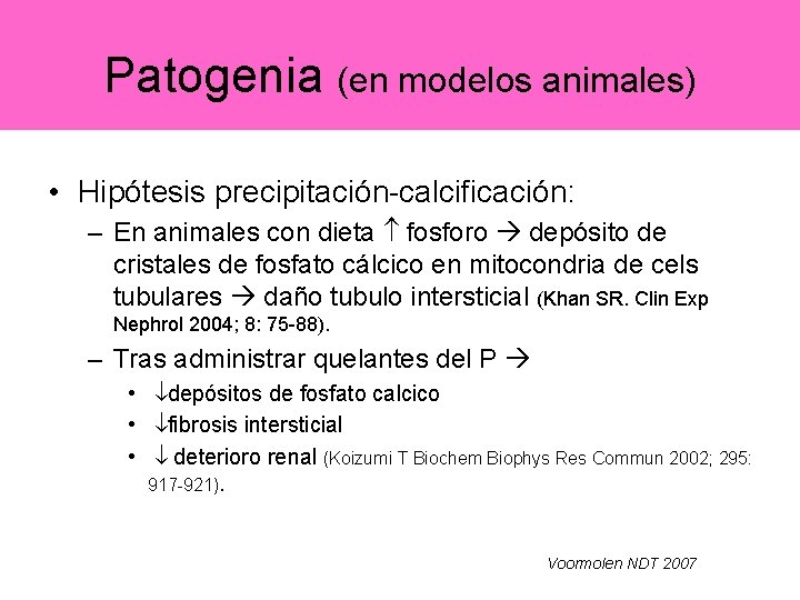 Patogenia (en modelos animales) • Hipótesis precipitación-calcificación: – En animales con dieta fosforo depósito