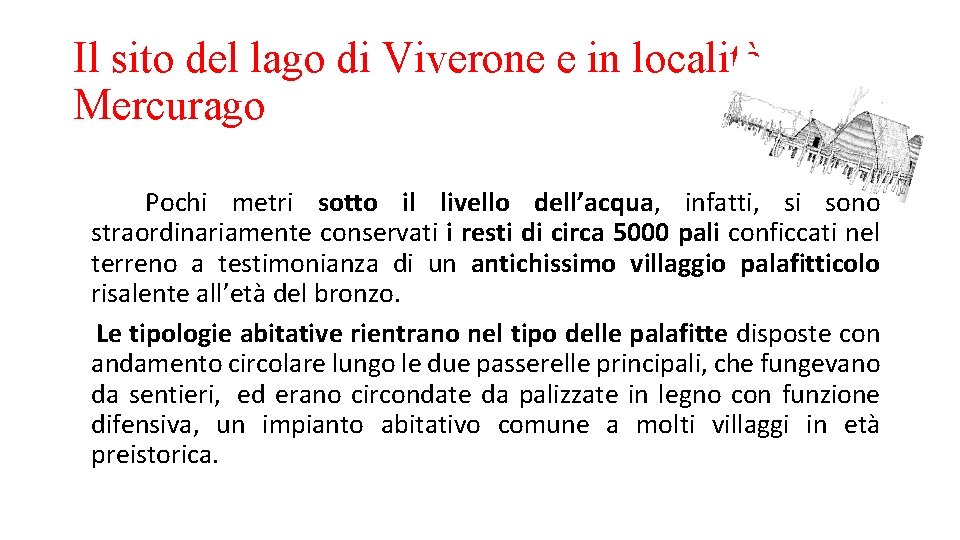 Il sito del lago di Viverone e in località Mercurago Pochi metri sotto il