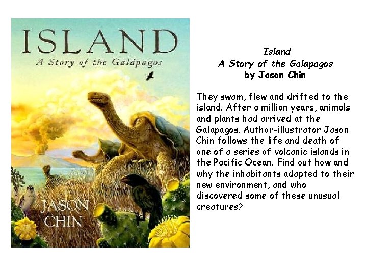 Island A Story of the Galapagos by Jason Chin They swam, flew and drifted