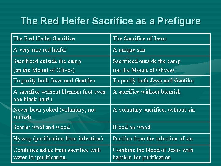 The Red Heifer Sacrifice as a Prefigure The Red Heifer Sacrifice The Sacrifice of The Red Heifer Sacrifice as a Prefigure The Red Heifer Sacrifice The Sacrifice of