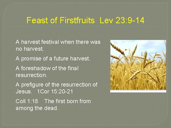 Feast of Firstfruits Lev 23: 9 -14 A harvest festival when there was no Feast of Firstfruits Lev 23: 9 -14 A harvest festival when there was no