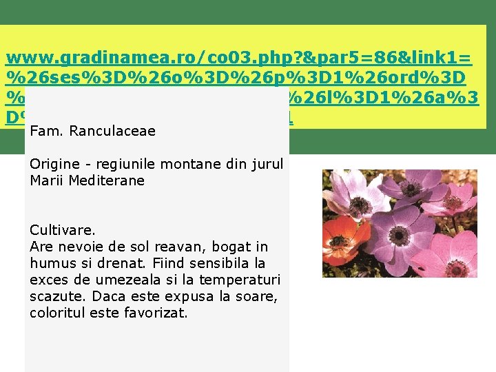  www. gradinamea. ro/co 03. php? &par 5=86&link 1= %26 ses%3 D%26 o%3 D%26