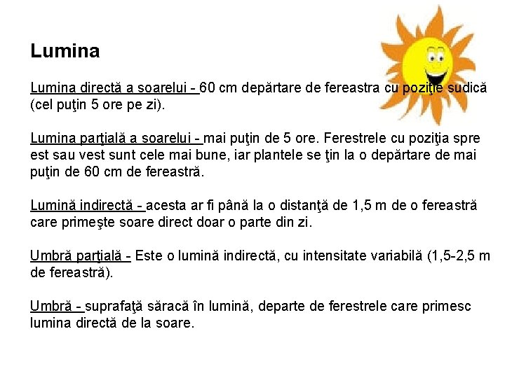 Lumina directă a soarelui - 60 cm depărtare de fereastra cu poziţie sudică (cel