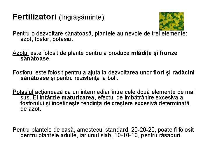 Fertilizatori (îngrăşăminte) Pentru o dezvoltare sănătoasă, plantele au nevoie de trei elemente: azot, fosfor,