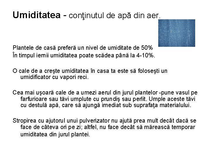 Umiditatea - conţinutul de apă din aer. Plantele de casă preferă un nivel de
