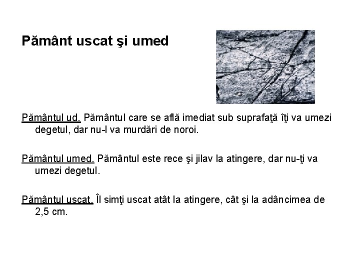 Pământ uscat şi umed Pământul ud. Pământul care se află imediat sub suprafaţă îţi