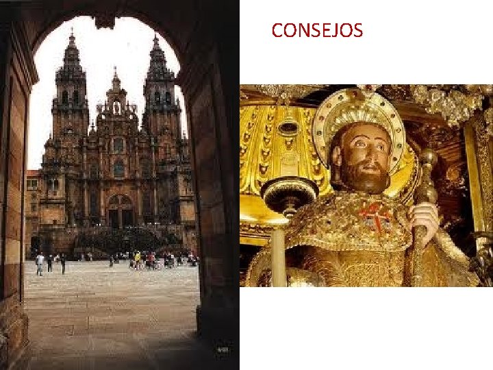 CONSEJOS 